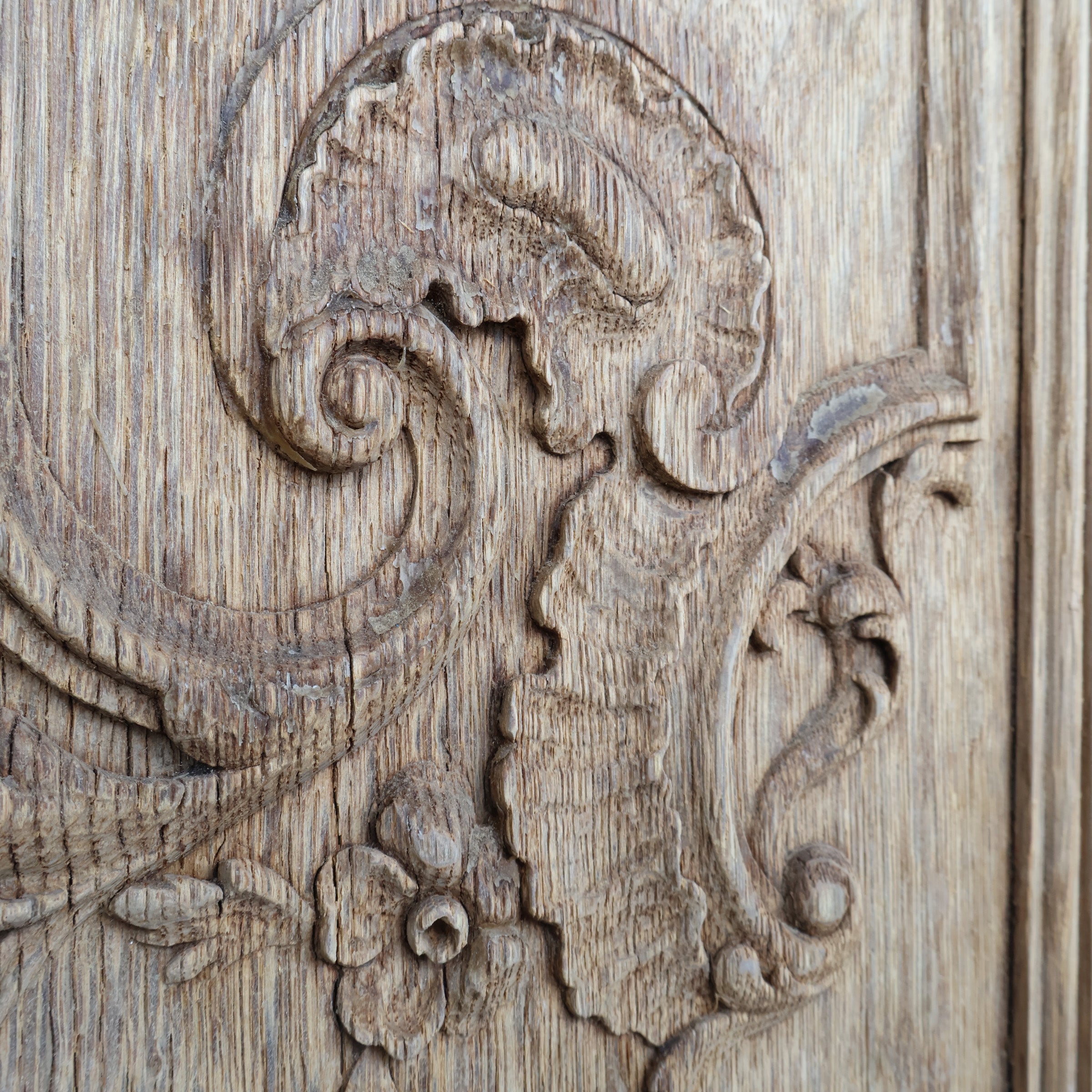 ナラの無塗装ダブルドア / do-11052